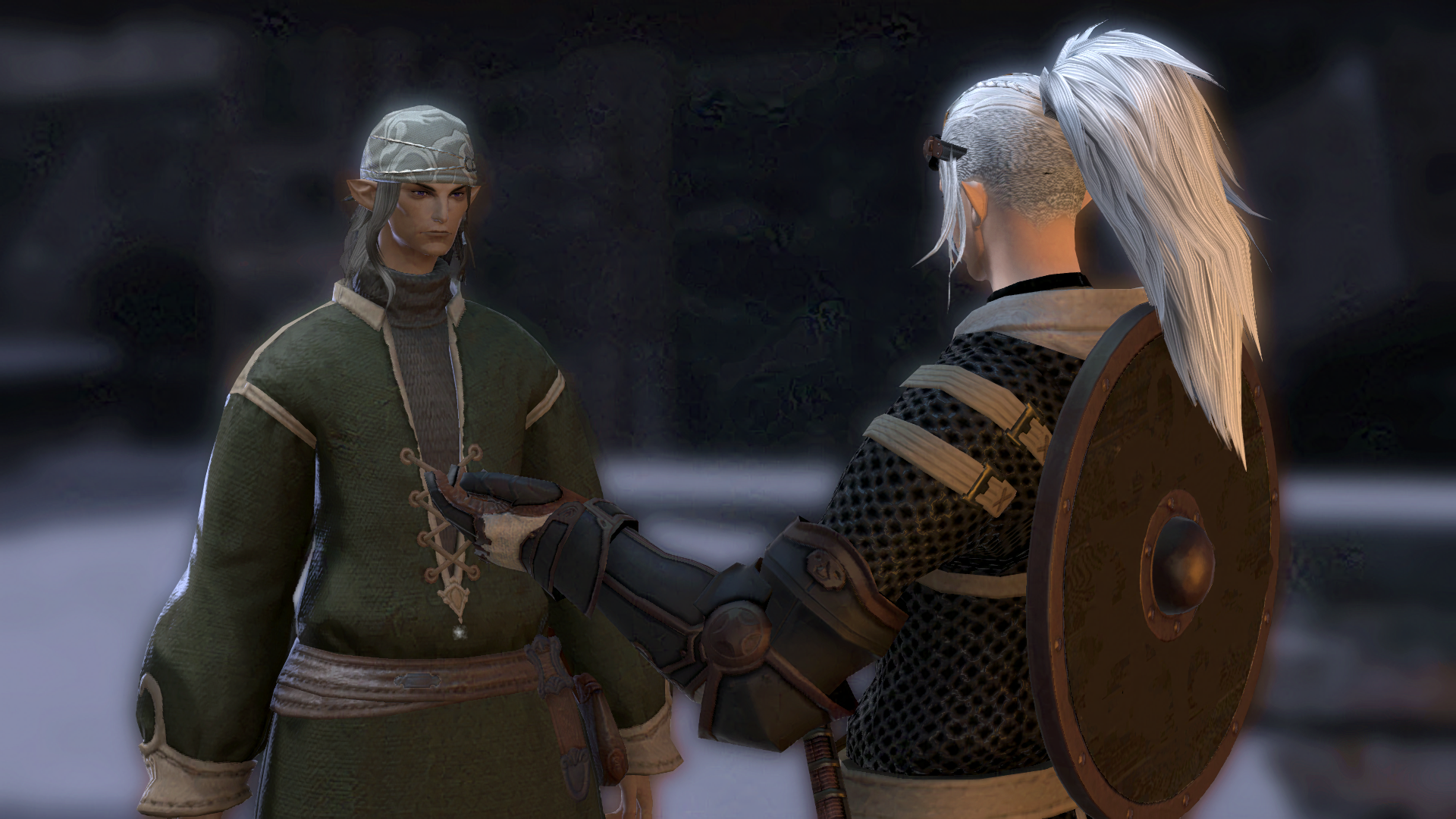 Varya Graves - a Voidsent "Elezen", talking to a resident of the Brume.